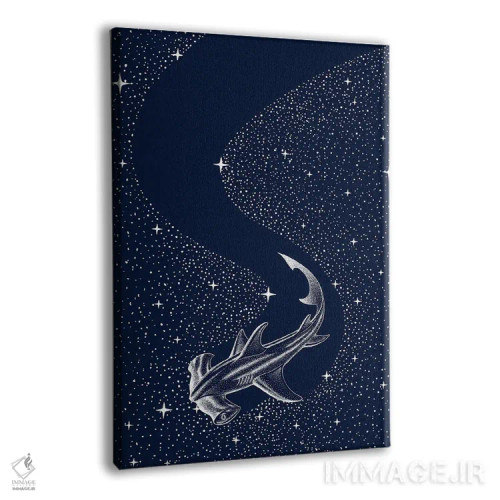 تابلو کوسه سرچکشی ستارهای اثر علیرضا چاکر - نمای پرسپکتیو محصول