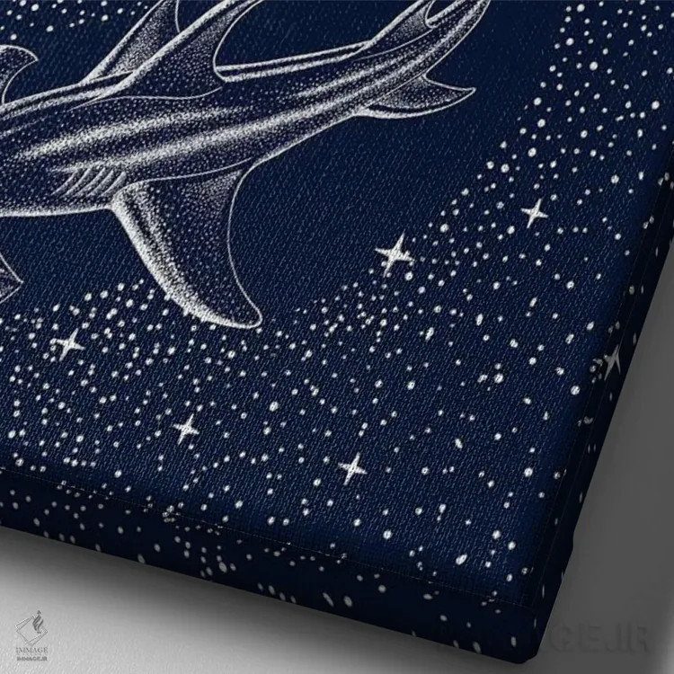 تابلو کوسه سرچکشی ستارهای اثر علیرضا چاکر - نمای نزدیک بافت بوم