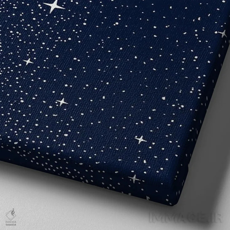 تابلو هشتپای ستارهای اثر علیرضا چاکر - نمای نزدیک بافت بوم