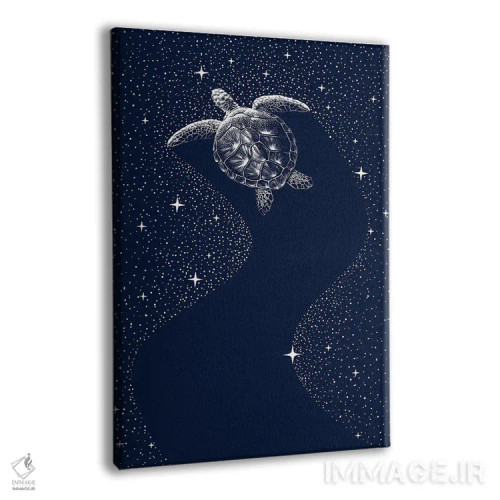 تابلو لاکپشت ستارهای اثر علیرضا چاکر - نمای پرسپکتیو محصول