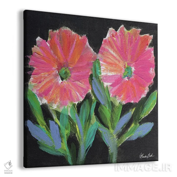 تابلو گلهای ژربرا (گونهای مروارید) اثر برندا بوش - نمای پرسپکتیو محصول