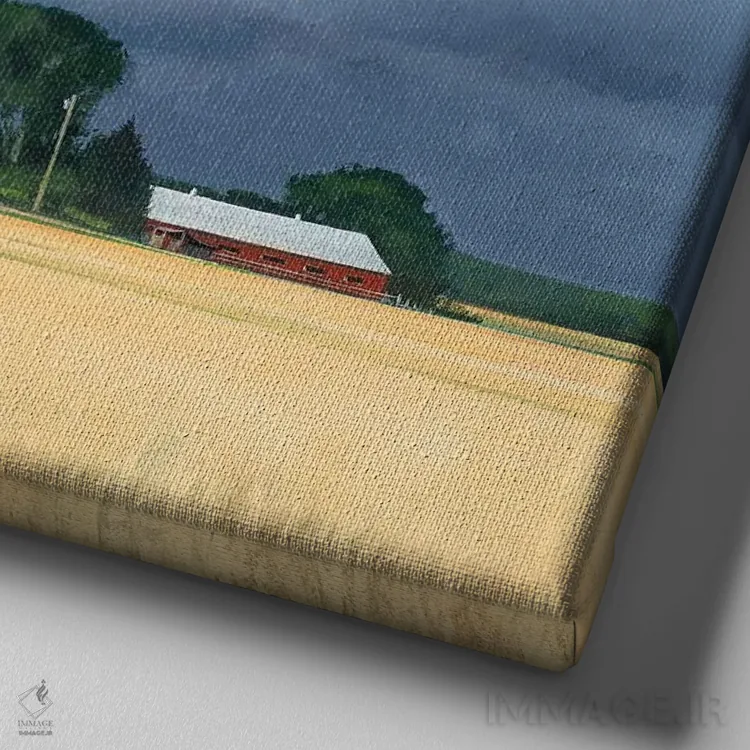 تابلو گندم و آبوهوا در شهرستان دور اثر بن بائر - نمای نزدیک بافت بوم