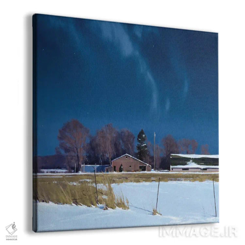 تابلو مزرعهٔ ساوک رپیدز زیر نور ماه اثر بن بائر - نمای پرسپکتیو محصول