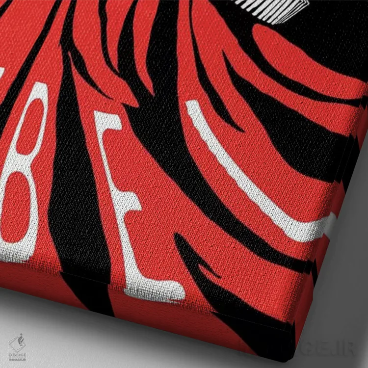 تابلو یاغی اثر بوچر بیلی (هنرمند برزیلی پوپآرت) - نمای نزدیک بافت بوم