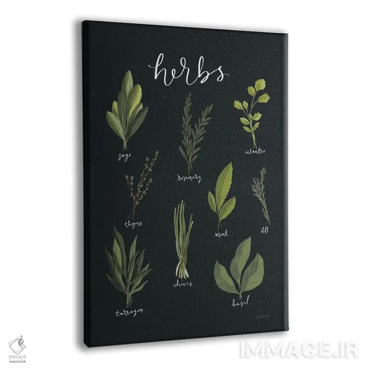 تابلو گیاهان سبز روشن I روی زمینهٔ سیاه اثر بکی تورنز - نمای پرسپکتیو محصول