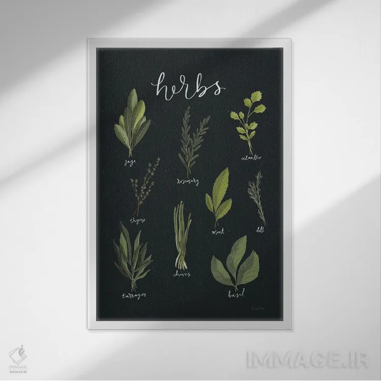 تابلو گیاهان سبز روشن I روی زمینهٔ سیاه اثر بکی تورنز - نمای قابدار سفید