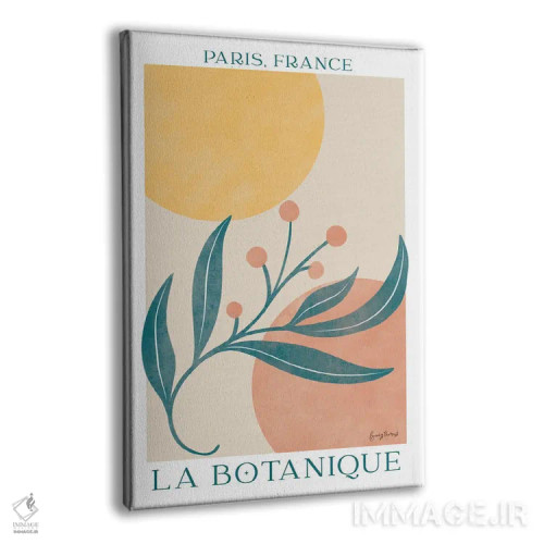 تابلو پوستر گیاهی IV اثر بکی تورنز - نمای پرسپکتیو محصول