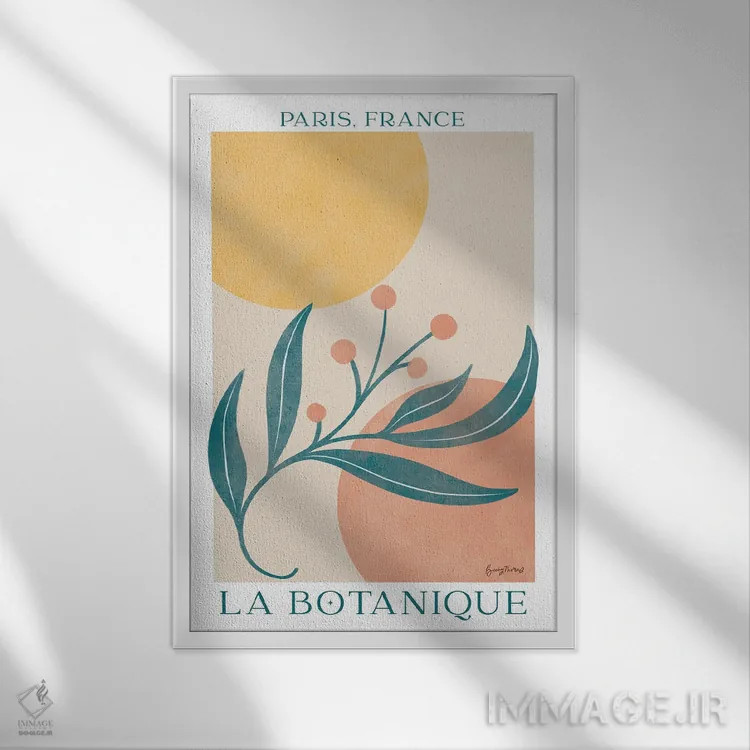 تابلو پوستر گیاهی IV اثر بکی تورنز - نمای قابدار سفید