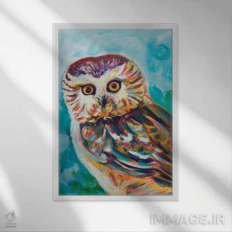 تابلو جغد رنگارنگ اثر اندی بوچمپ - نمای قابدار سفید