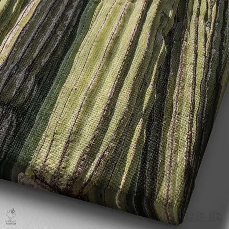 تابلو باغ کاکتوس بلند اثر عکاسی بیل کارسون - نمای نزدیک بافت بوم