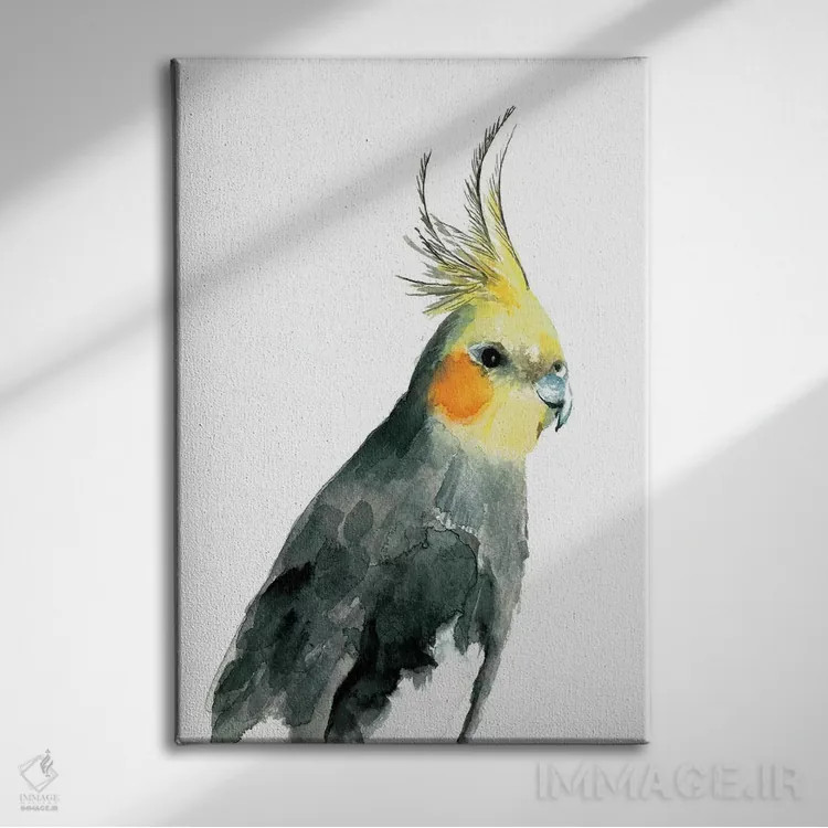 تابلو طوطی عروس هلندی II اثر آلبینا براتچِوا - نمای روبهرو روی دیوار