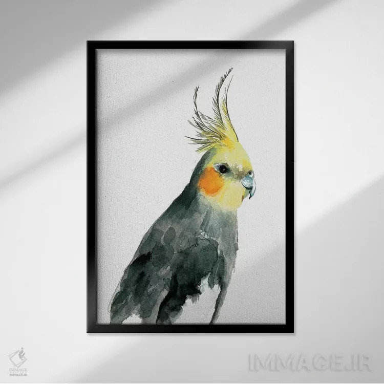 تابلو طوطی عروس هلندی II اثر آلبینا براتچِوا - نمای قابدار مشکی