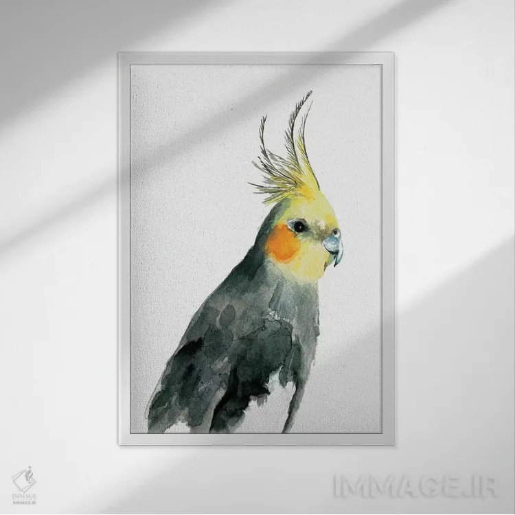 تابلو طوطی عروس هلندی II اثر آلبینا براتچِوا - نمای قابدار سفید