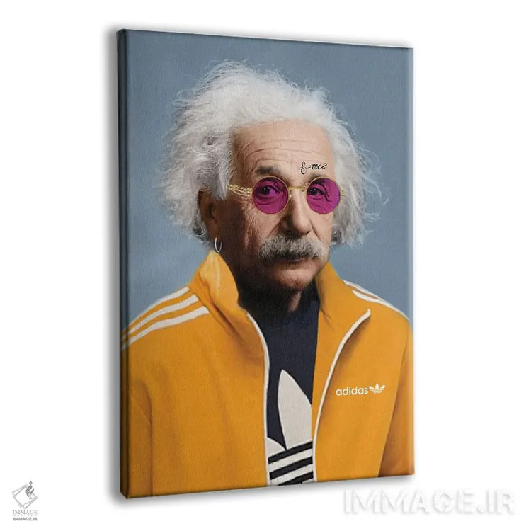 تابلو اینشتین با لباس آدیداس آبی اثر بکر جیلان - نمای پرسپکتیو محصول