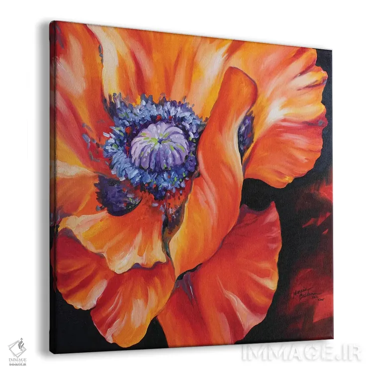 تابلو قلب یک شقایق قرمز اثر مارسیا بالدویین - نمای پرسپکتیو محصول