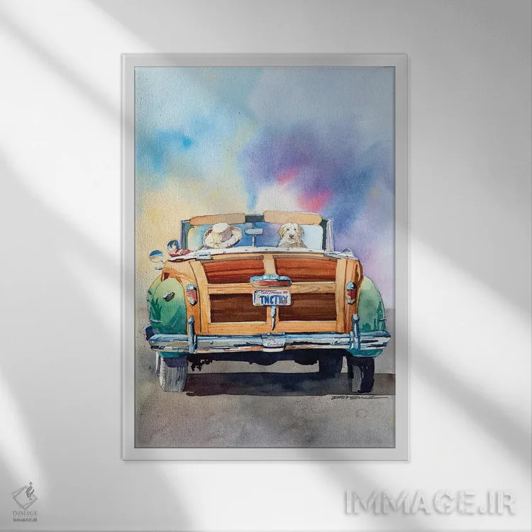 تابلو کنار راننده نشستن (همراهی) اثر بیل درایزدیل - نمای قابدار سفید