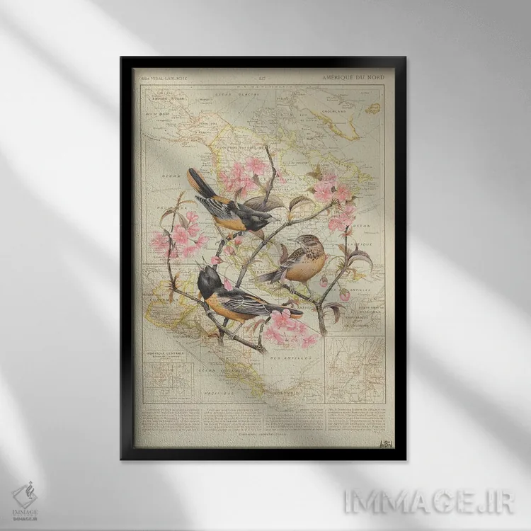 تابلو بلتیمور اوریول (پرنده) اثر استودیو آرت برد (استودیو هنری) - نمای قابدار مشکی