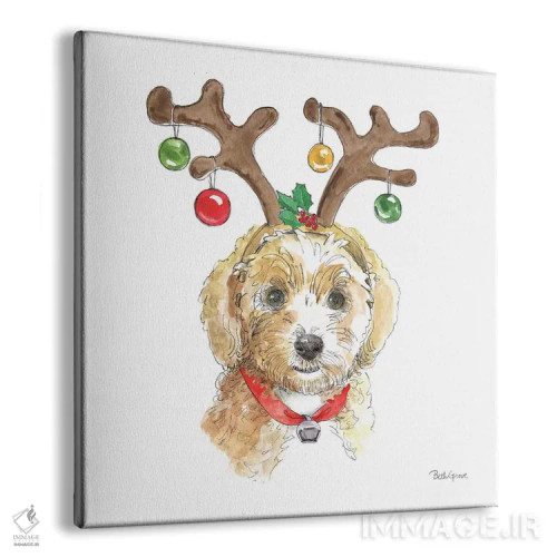 تابلو پنجههای تعطیلات VI روی زمینه سفید (حیوانات خانگی) اثر بث گروو - نمای پرسپکتیو محصول