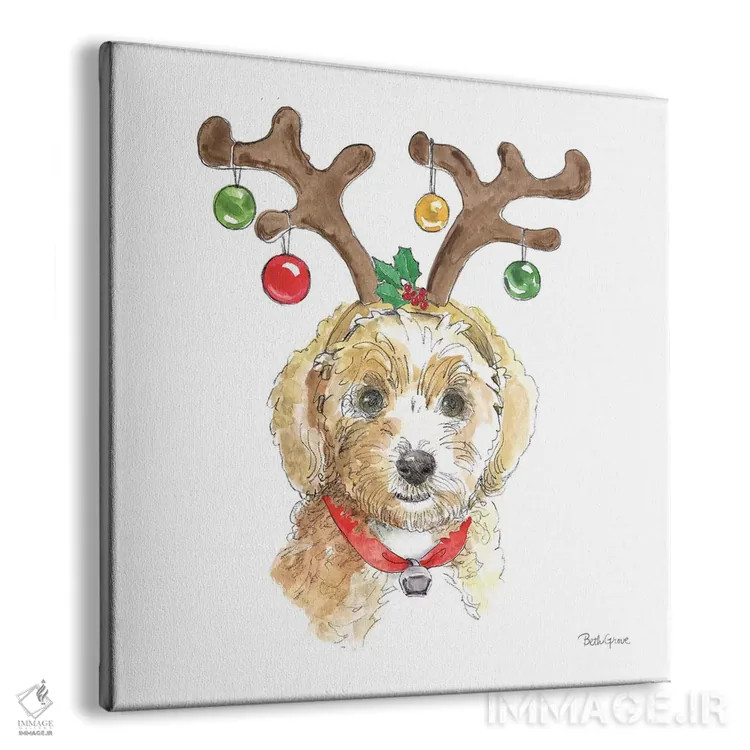 تابلو پنجههای تعطیلات VI روی زمینه سفید (حیوانات خانگی) اثر بث گروو - نمای پرسپکتیو محصول