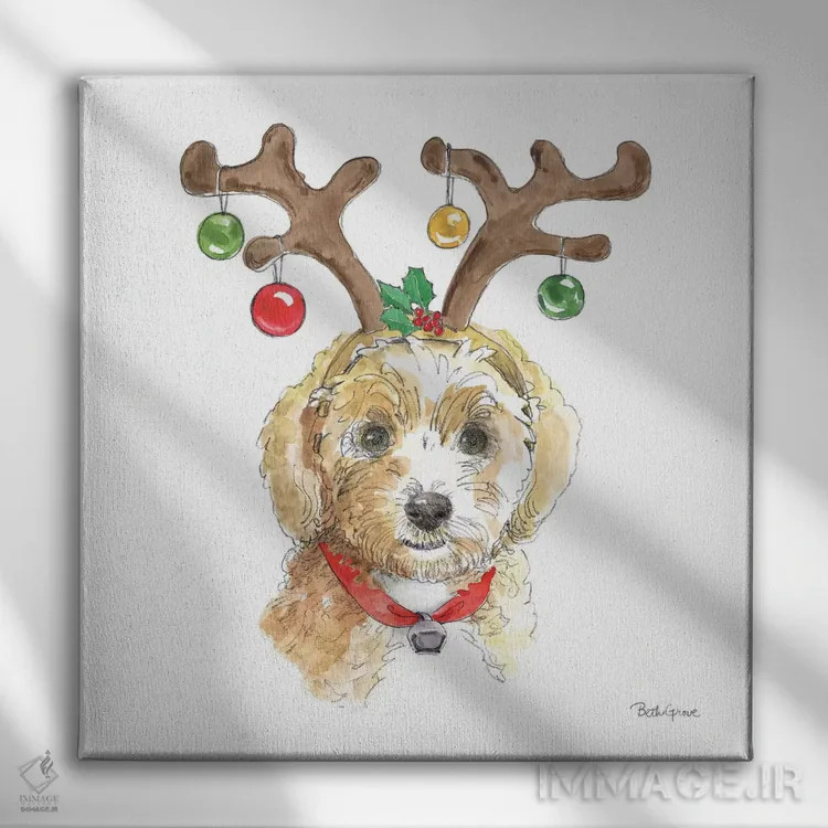 تابلو پنجههای تعطیلات VI روی زمینه سفید (حیوانات خانگی) اثر بث گروو - نمای روبهرو روی دیوار