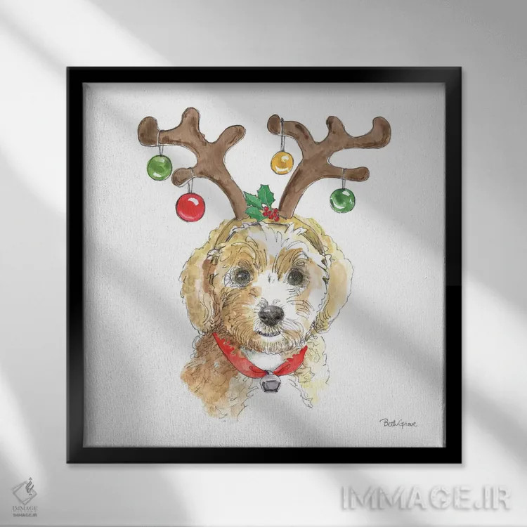 تابلو پنجههای تعطیلات VI روی زمینه سفید (حیوانات خانگی) اثر بث گروو - نمای قابدار مشکی