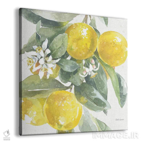 تابلو جذابیت مرکبات: لیموها I اثر بث گروو - نمای پرسپکتیو محصول