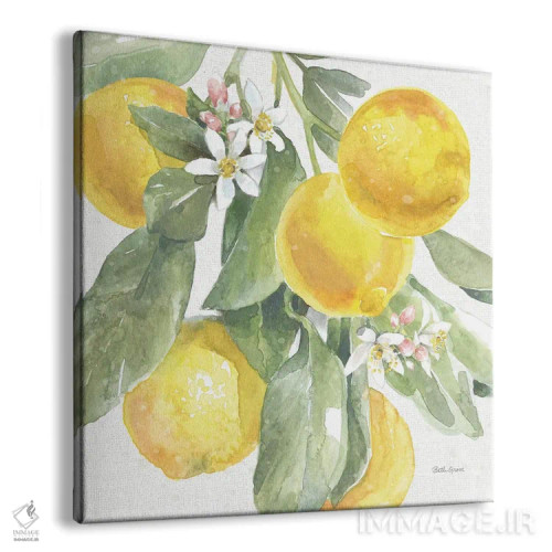 تابلو جذابیت مرکبات: لیموها II اثر بث گروو - نمای پرسپکتیو محصول