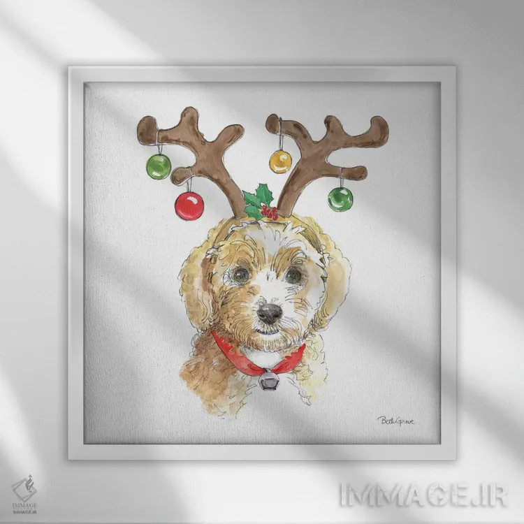 تابلو پنجههای تعطیلات VI روی زمینه سفید (حیوانات خانگی) اثر بث گروو - نمای قابدار سفید