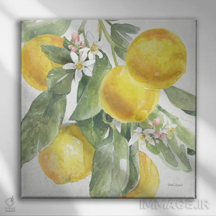 تابلو جذابیت مرکبات: لیموها II اثر بث گروو - نمای روبهرو روی دیوار