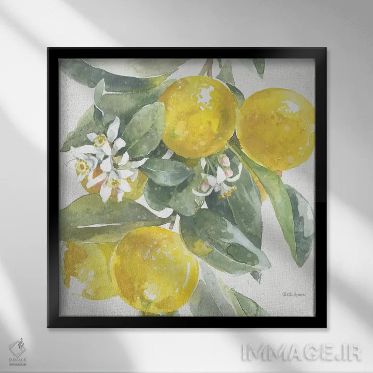 تابلو جذابیت مرکبات: لیموها I اثر بث گروو - نمای قابدار مشکی