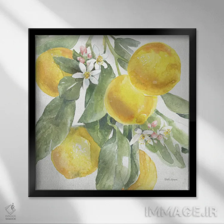 تابلو جذابیت مرکبات: لیموها II اثر بث گروو - نمای قابدار مشکی