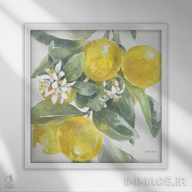 تابلو جذابیت مرکبات: لیموها I اثر بث گروو - نمای قابدار سفید