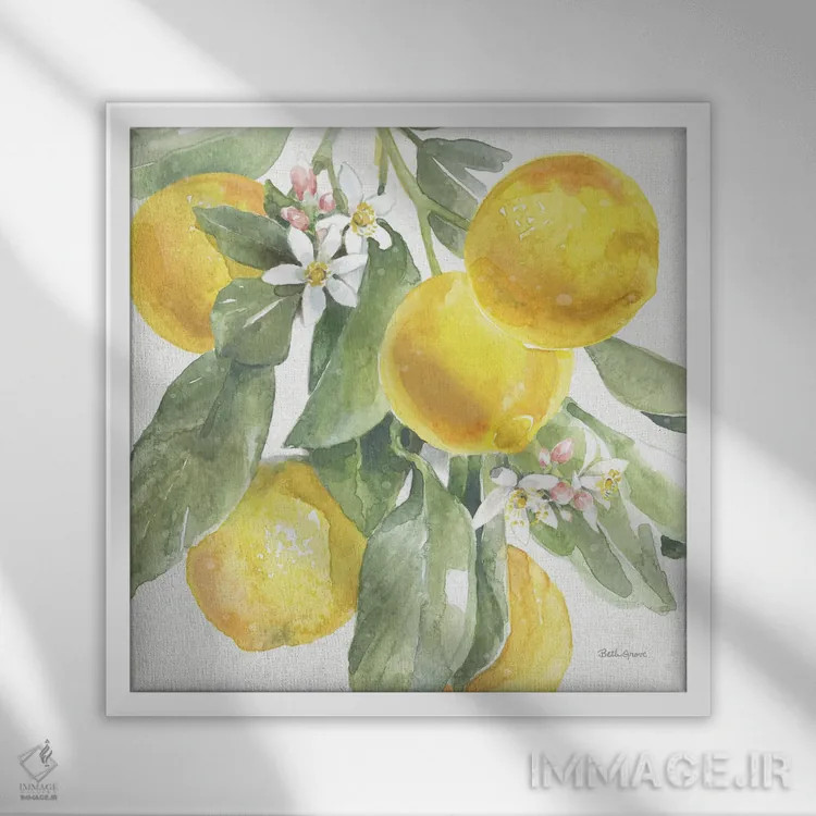 تابلو جذابیت مرکبات: لیموها II اثر بث گروو - نمای قابدار سفید