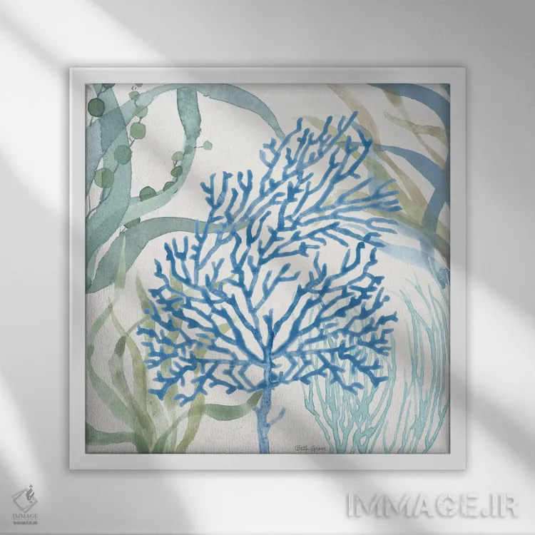 تابلو سواحل آرام VI اثر بث گروو - نمای قابدار سفید