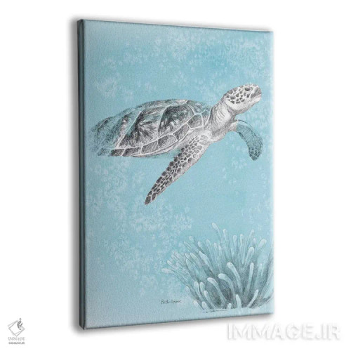 تابلو زندگی دریایی ساحلی I نسخه دوم اثر بث گروو - نمای پرسپکتیو محصول
