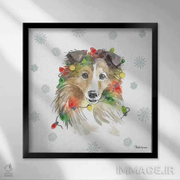 تابلو پنجههای تعطیلات IX (حیوانات) اثر بث گروو - نمای قابدار مشکی