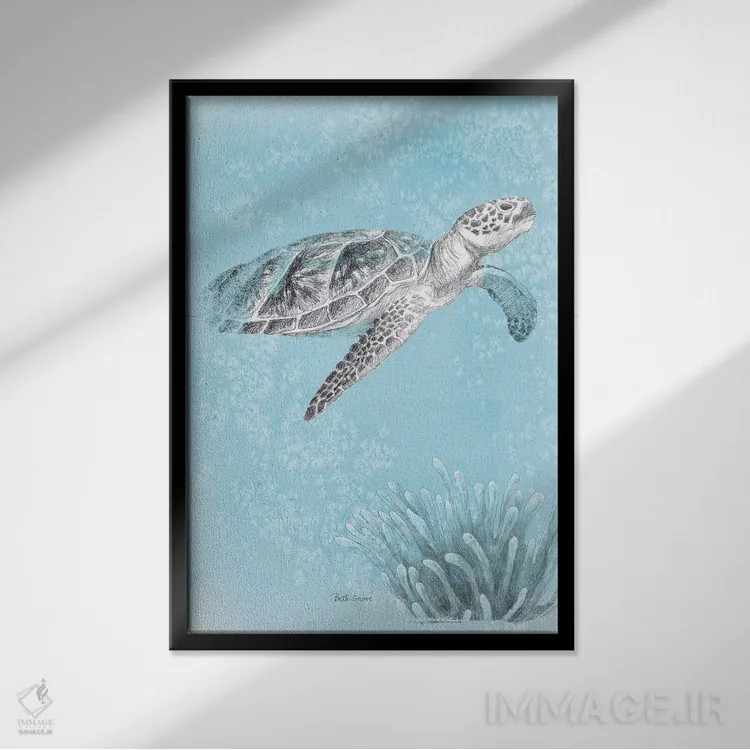 تابلو زندگی دریایی ساحلی I نسخه دوم اثر بث گروو - نمای قابدار مشکی