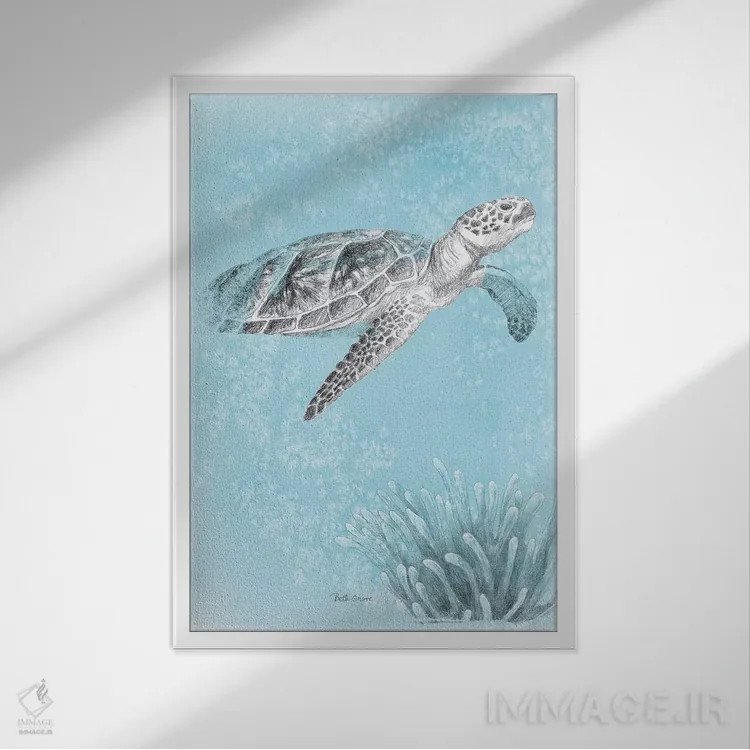 تابلو زندگی دریایی ساحلی I نسخه دوم اثر بث گروو - نمای قابدار سفید