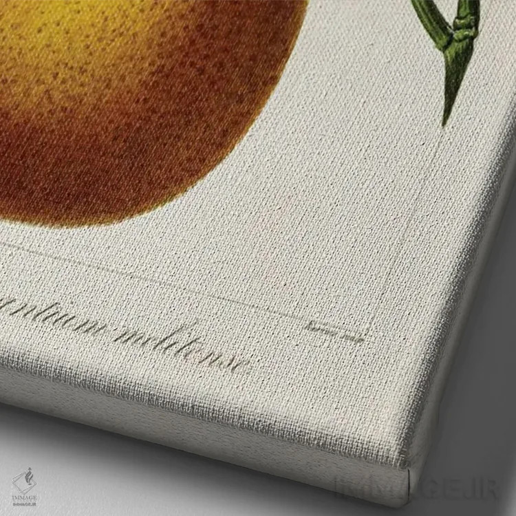 تابلو مرکبات عتیقه I اثر پانکراس بسا - نمای نزدیک بافت بوم