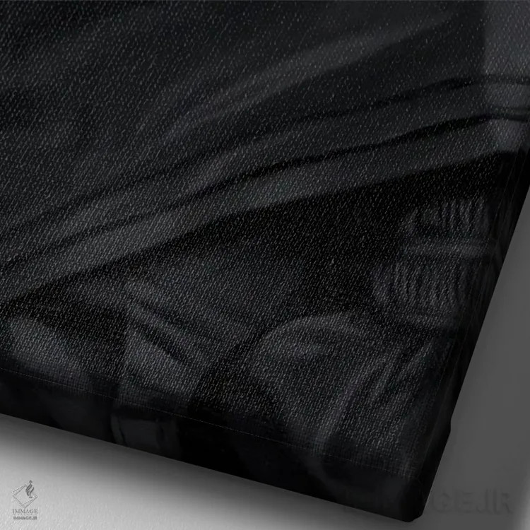 تابلو پرترههای کلاژ رنسانسی با تغییر خلاقانه اثر بونا فیدسا - نمای نزدیک بافت بوم