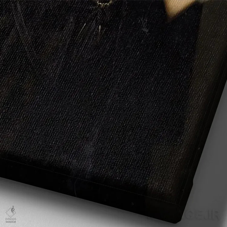 تابلو کلاژهای سورئال از پرترههای رنسانسی اثر بونا فیدسا - نمای نزدیک بافت بوم