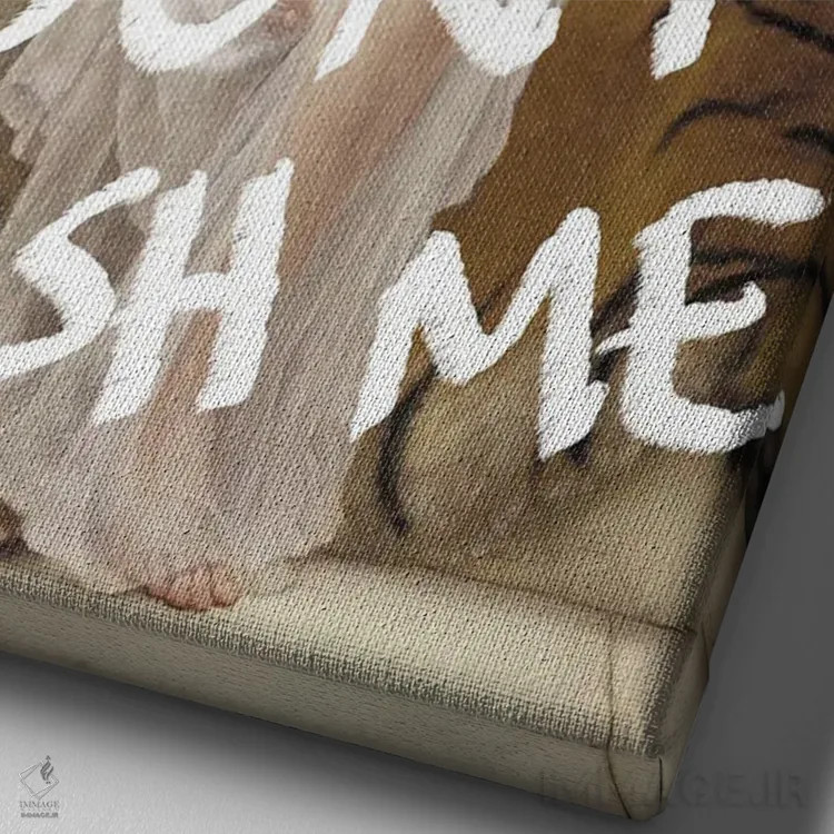 تابلو کلاژهای سورئال از پرترههای باروک رنسانس اثر بونا فیدسا - نمای نزدیک بافت بوم