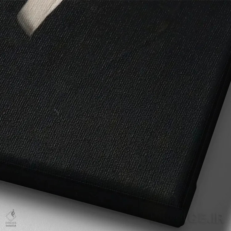 تابلو پرترههای سورئال رنسانس و باروک اثر بونا فیدسا - نمای نزدیک بافت بوم