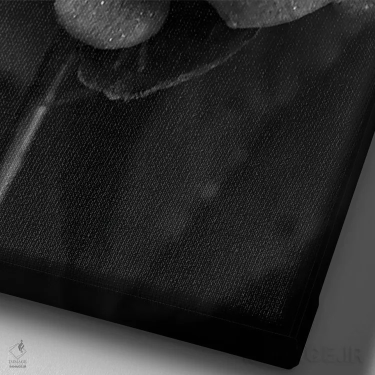 تابلو رز تیره I اثر بونا فیدسا - نمای نزدیک بافت بوم