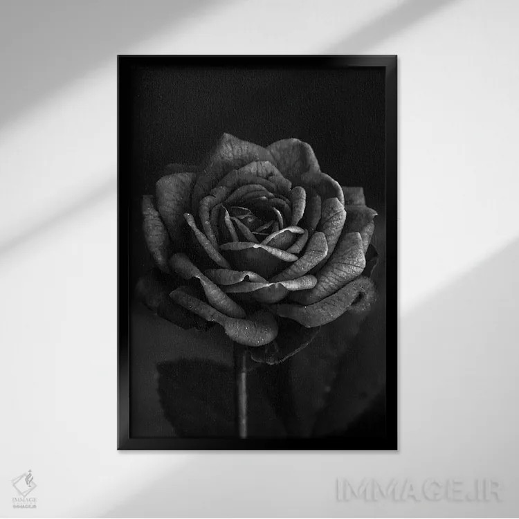 تابلو رز تیره I اثر بونا فیدسا - نمای قابدار مشکی