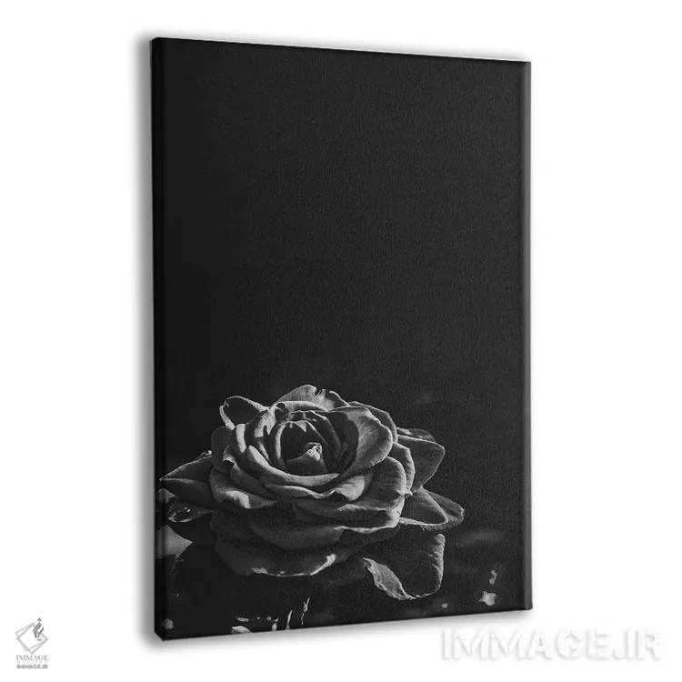 تابلو رز تیره II اثر بونا فیدسا - نمای پرسپکتیو محصول