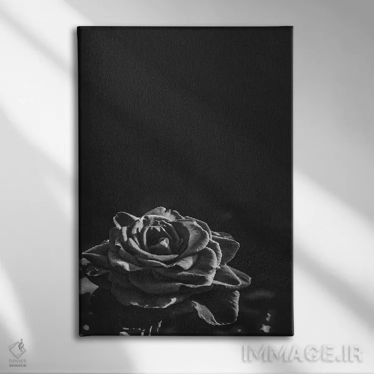 تابلو رز تیره II اثر بونا فیدسا - نمای روبهرو روی دیوار