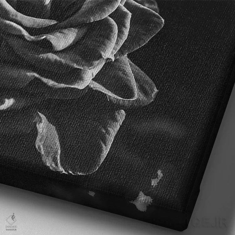 تابلو رز تیره II اثر بونا فیدسا - نمای نزدیک بافت بوم