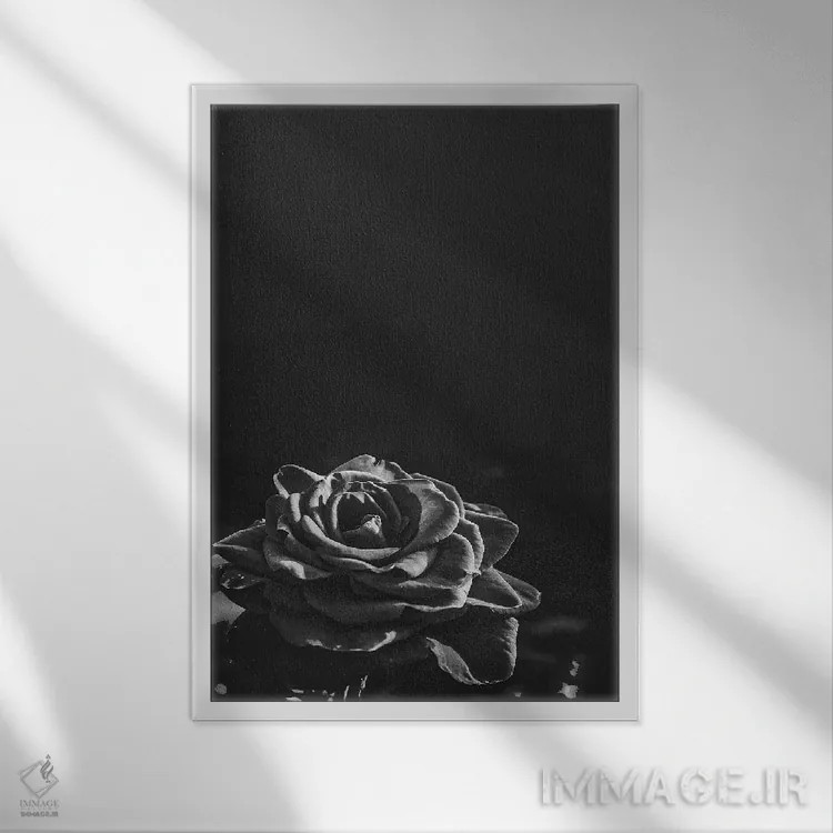 تابلو رز تیره II اثر بونا فیدسا - نمای قابدار سفید