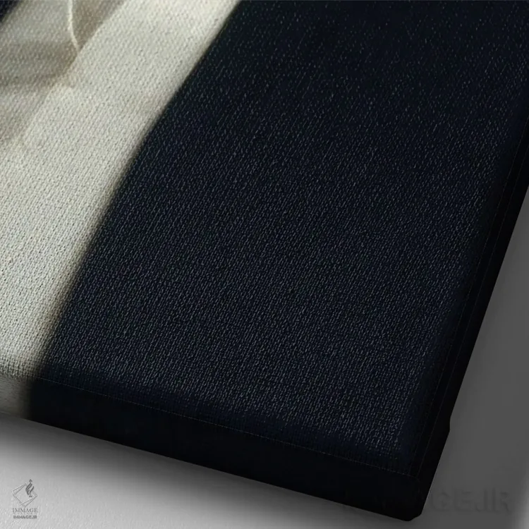 تابلو پرترههای رنسانس با تأثیر سورئالیستی باروک و تکنیک کلاژ در هنر سورئال اثر بونا فیدسا - نمای نزدیک بافت بوم